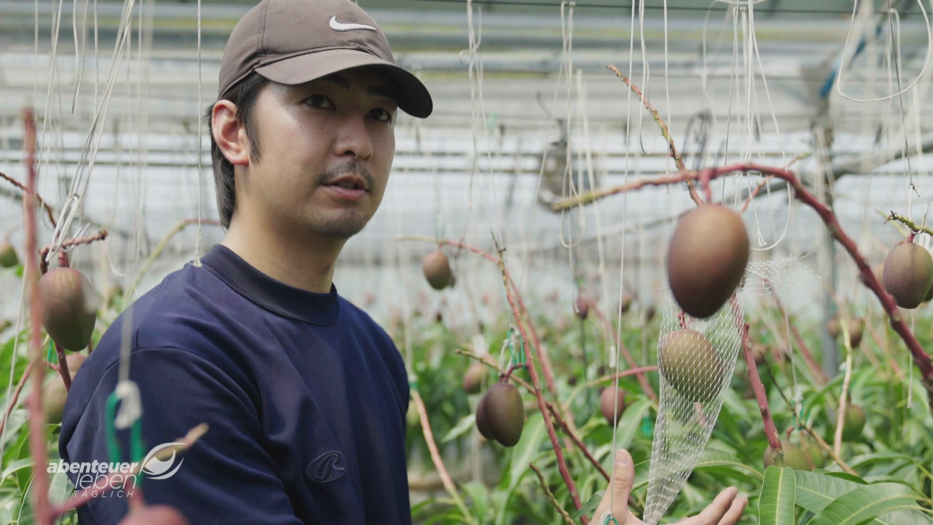 Das gibt es nur in Japan: Monster-Nudel & Luxus-Mangos