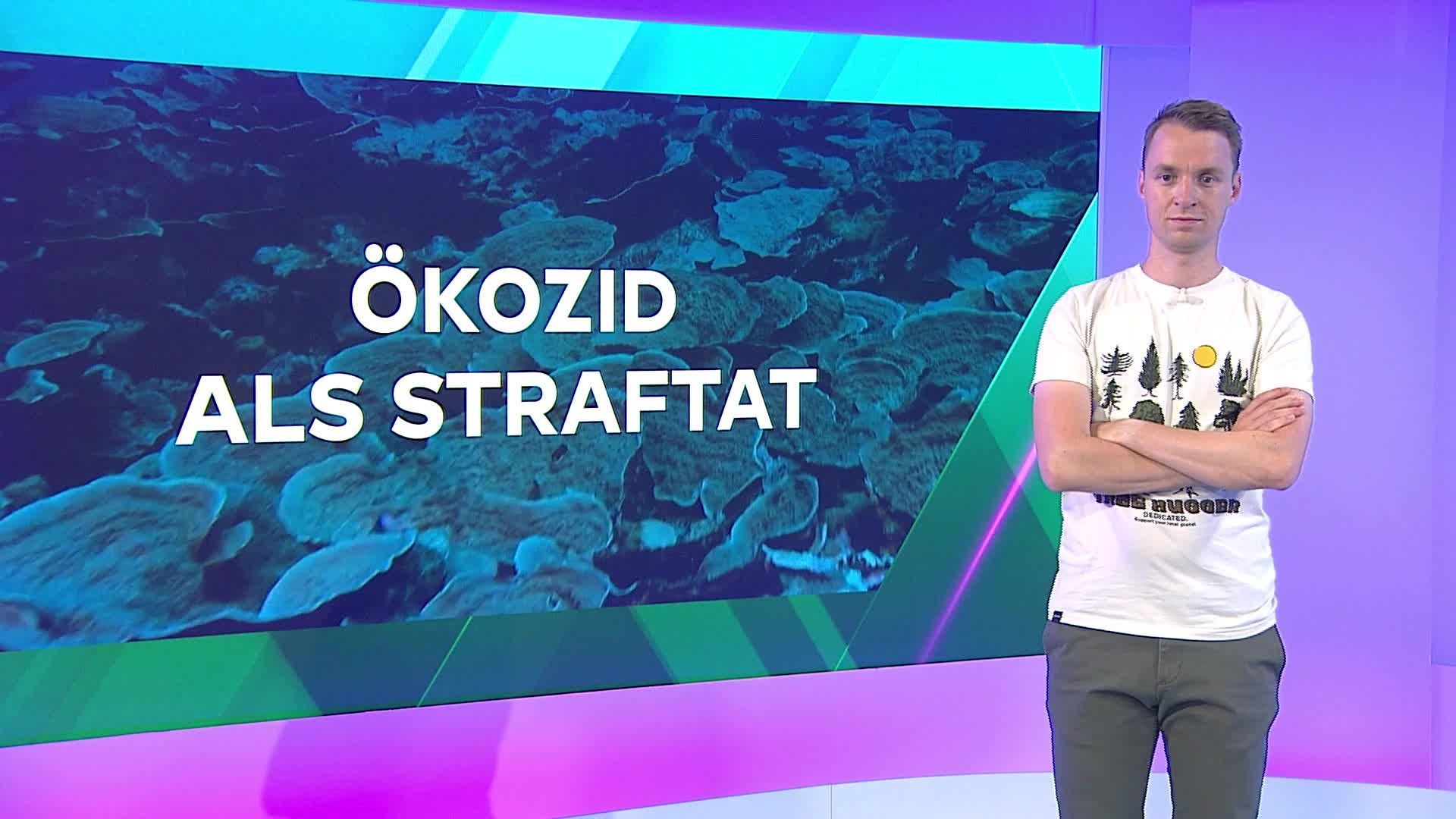 Der Erde eine Stimme geben