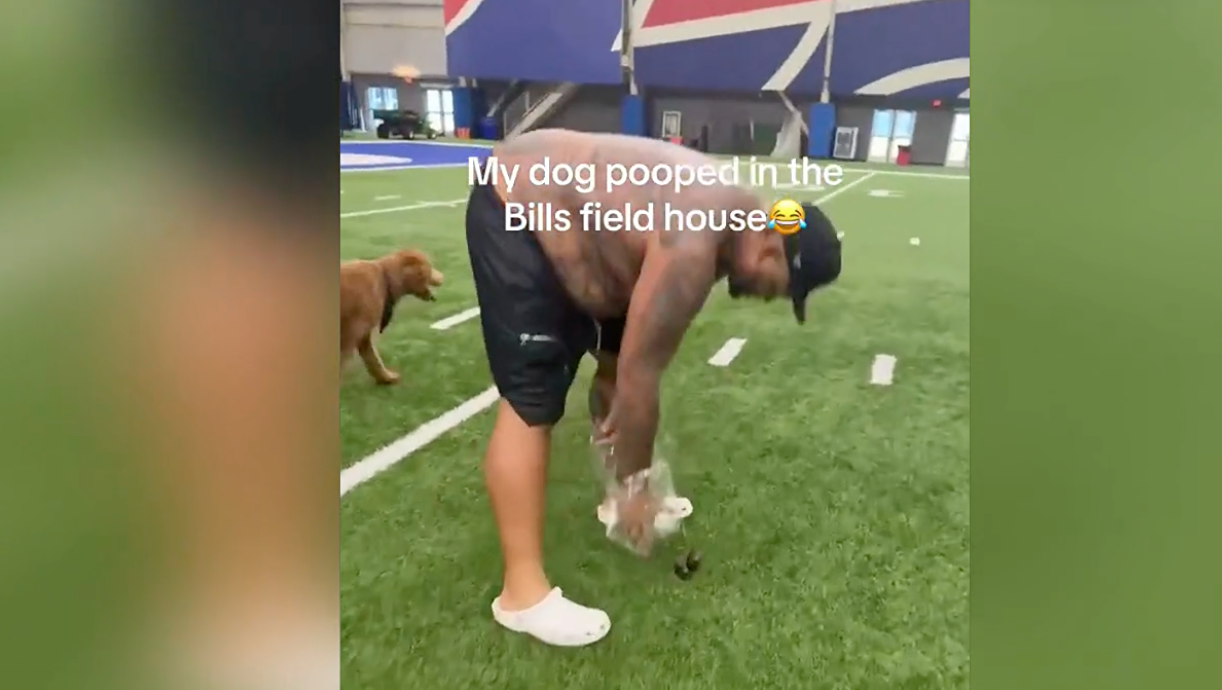 NFL: Mitten auf den Rasen! Dawkins' Hund sorgt für Debatte bei den Bills