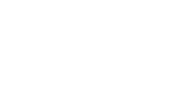 Zwei Supertypen in Miami - Die Schöne mit dem kleinen Tick