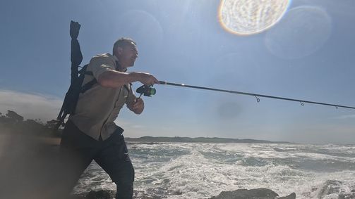 Giganten unter Wasser - Riesenfischen auf der Spur Giganten unter Wasser - Riesenfischen auf der Spur Folge 1: Durbans Haie