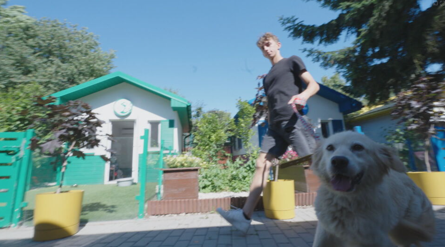 Das Hundedorf: Zuhause statt Tierheim