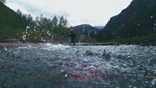 Giganten unter Wasser - Riesenfischen auf der Spur Giganten unter Wasser - Riesenfischen auf der Spur Folge 2: Lachsfang im Bärenrevier