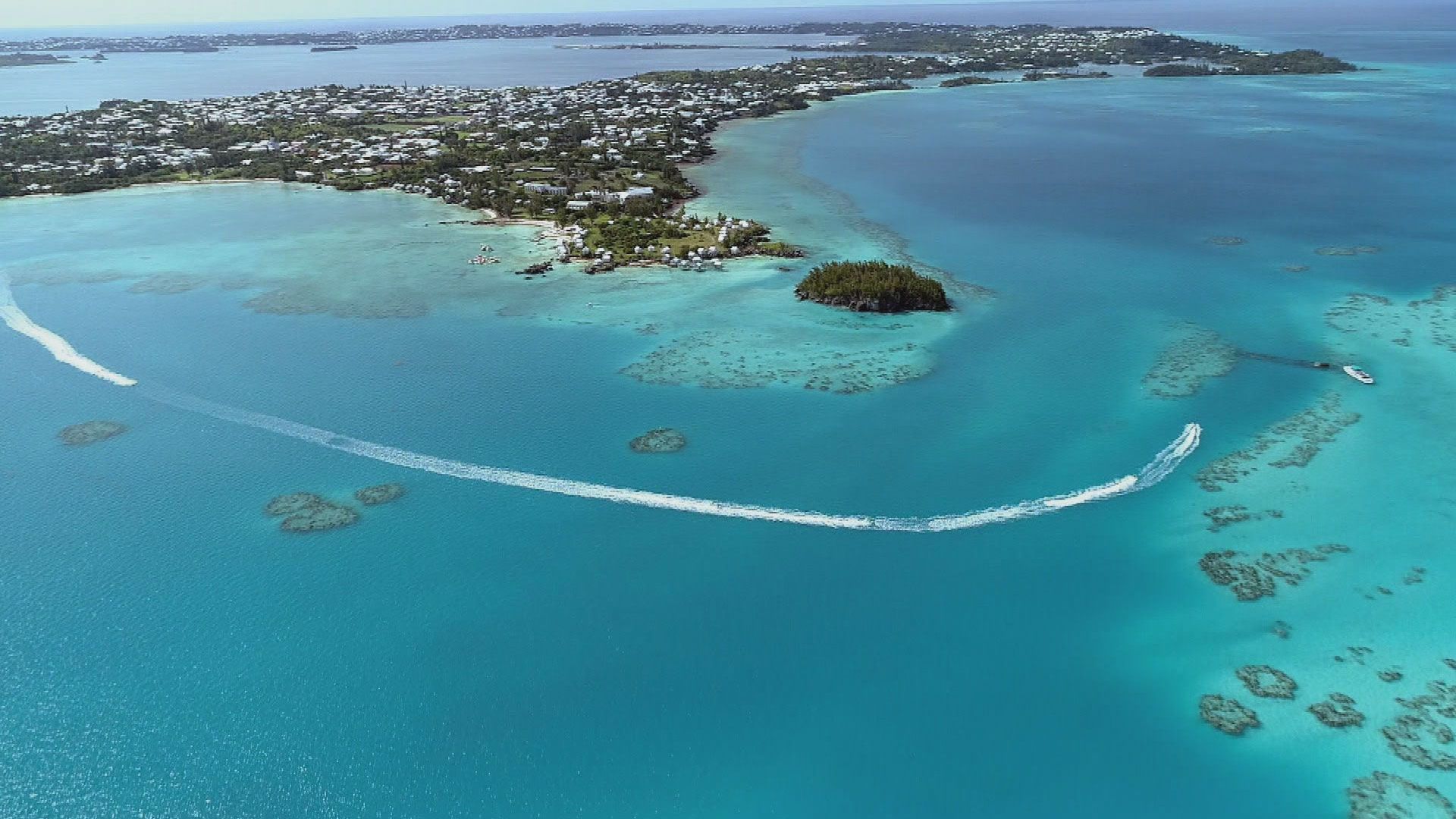 Das Monster von Bermuda