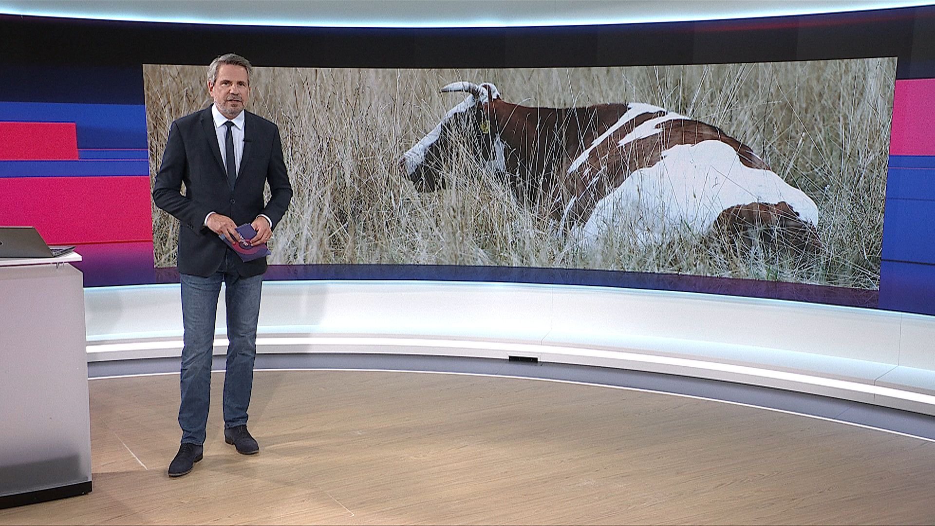 ATV Aktuell vom 02.08.2026