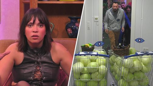 Big Brother - Die Show Big Brother - Die Show Folge 22: Container-Horror, karge Kohl-Kost und Janine Pink als Promi-Gast