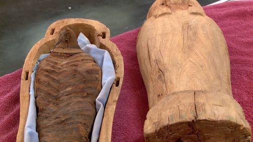 Pawn Stars - Die Drei vom Pfandhaus Pawn Stars - Die Drei vom Pfandhaus Folge 25: Kuriositäten-Kabinett
