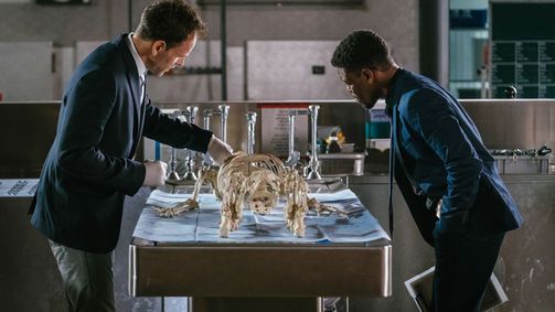 Elementary Elementary Folge 4: Das Skelett meiner Frau