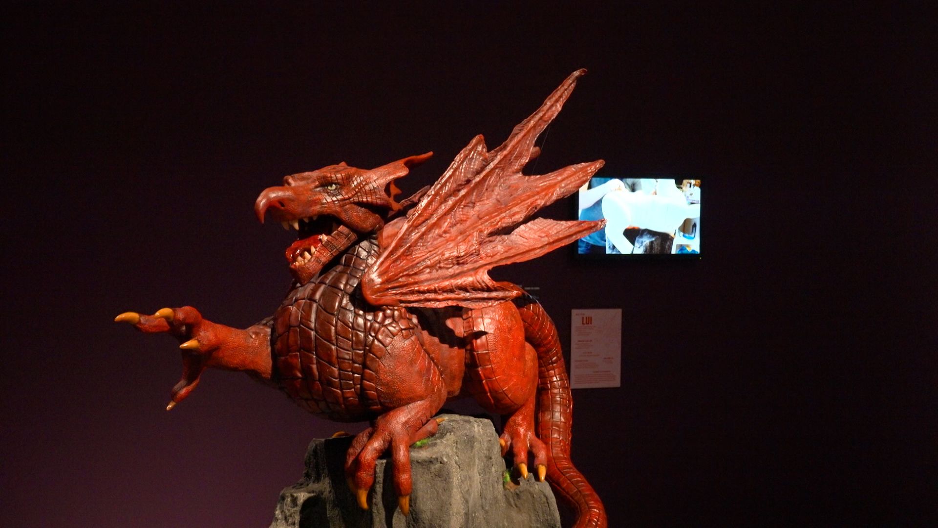 Drachenausstellung in Darmstadt