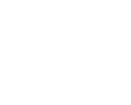 Vicious Fun