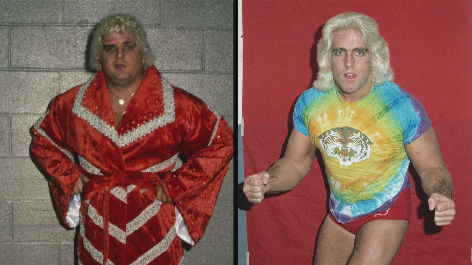 Ric Flair vs. Dusty Rhodes