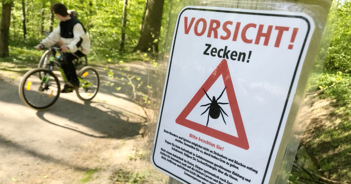 Gefahr durch Zecken: Das sind zwei neue FSME-Risikogebiete in Deutschland
