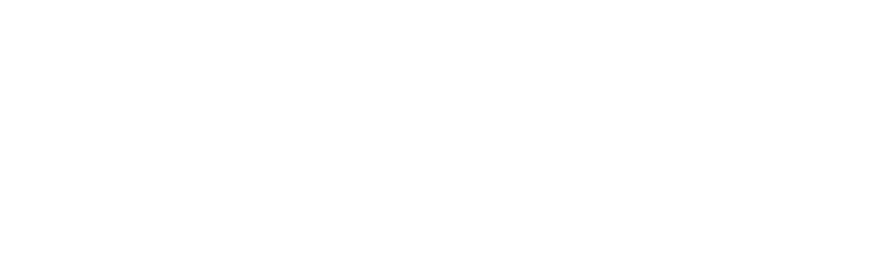 Mein perfektes Hochzeitskleid! - USA