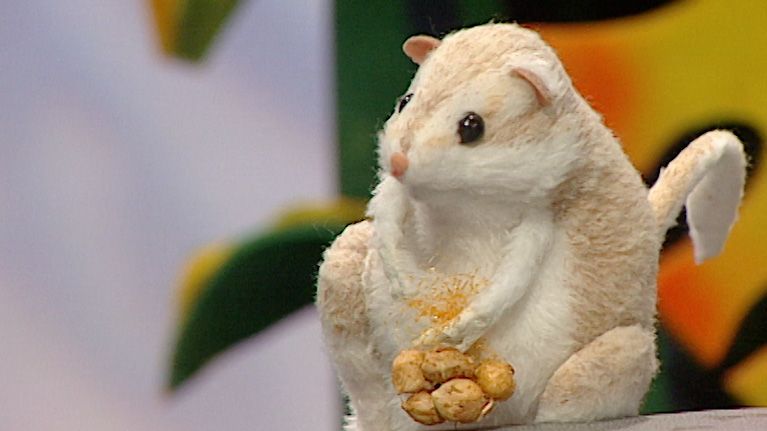 Die Wüstenratte Kule