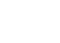 The Purge: Anarchy