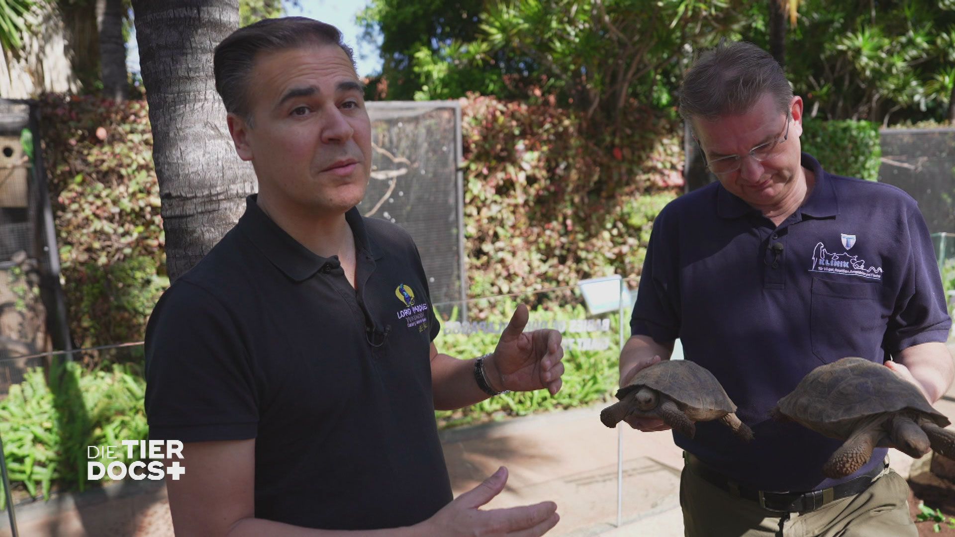 Baby-Alarm im Loro Parque