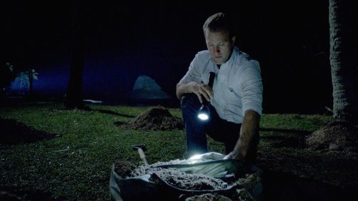 Hawaii Five-0 Hawaii Five-0 Folge 3: Endloser Sommer