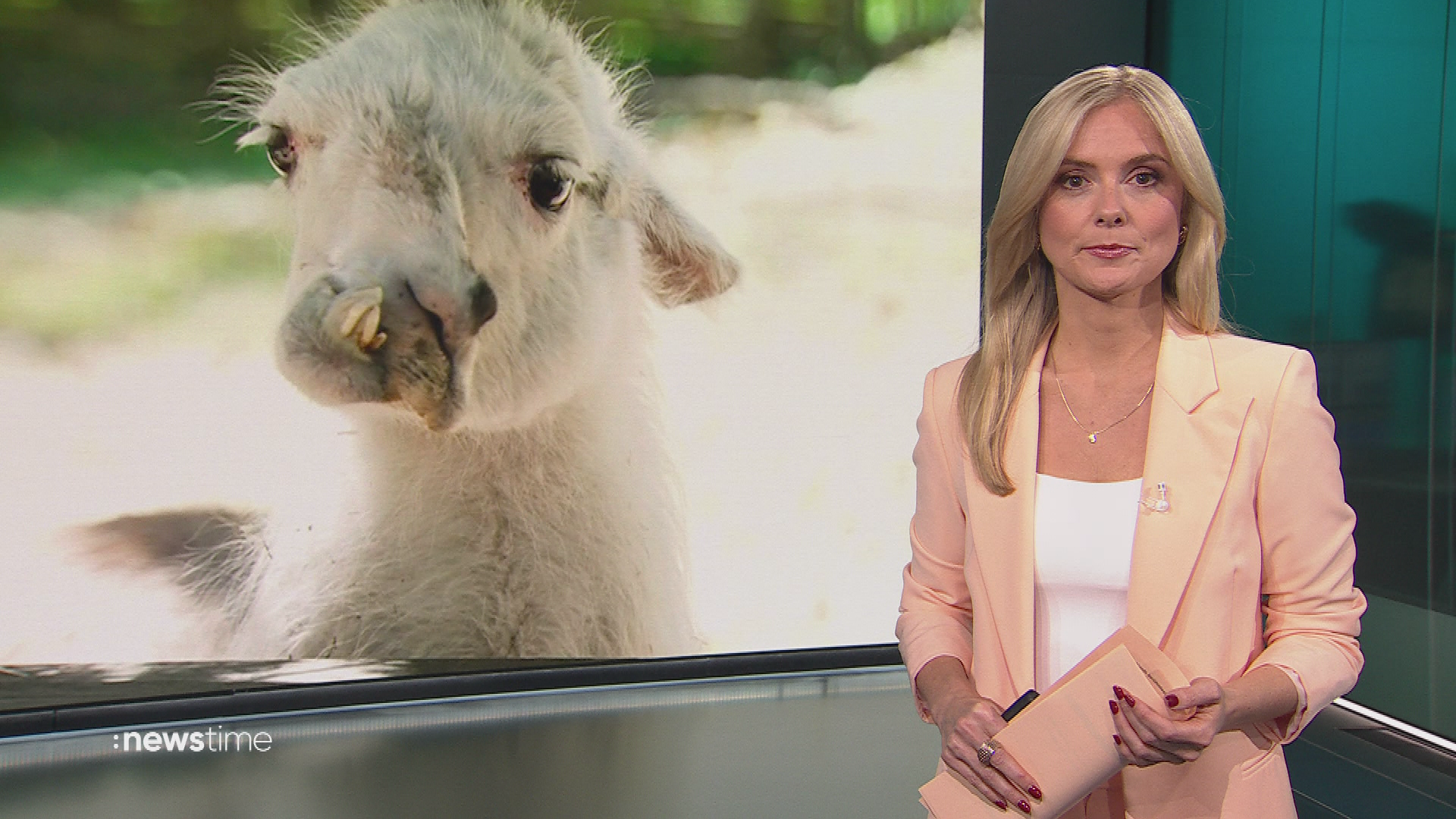 :newstime vom 30. April 2026 | 19:45