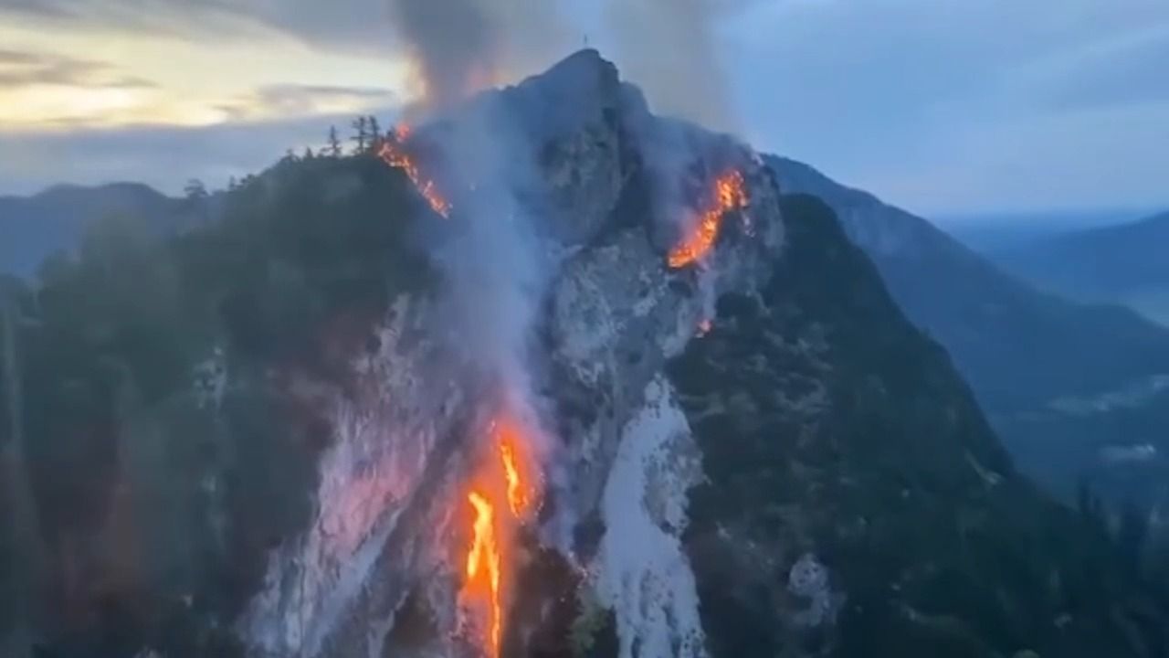 Zukünftig weniger Waldbrände? So sollen Wälder klimafest werden