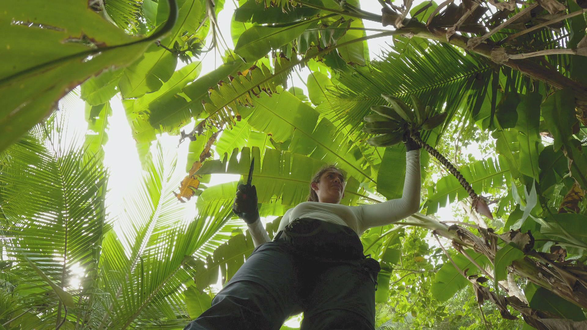 Jeannie macht Mental-Work, baut ein Bett - und findet Bananen!
