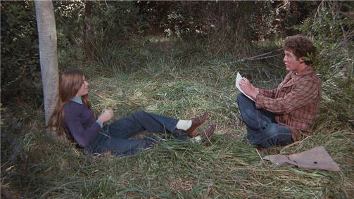 Die Waltons Die Waltons Folge 14: Mary Ellen und der fahrende Sänger