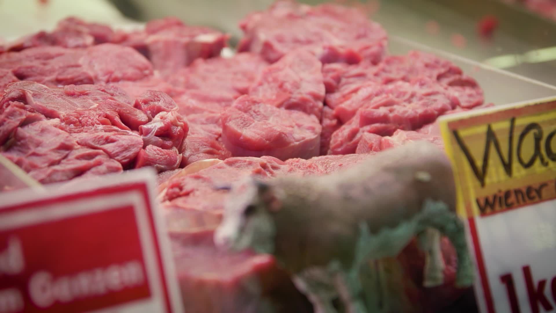 PULS 4 Doku: MEI SCHNITZEL IS NED DEPPERT - Hat Fleisch noch eine Zukunft?