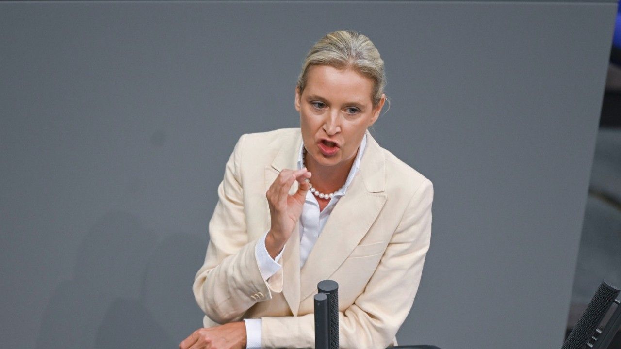 Weidel nennt sich "Alptraum der etablierten Politik"