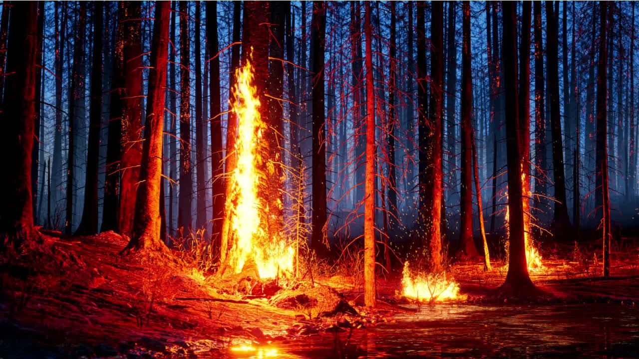 Einfluss des Klimawandels auf Waldbrände