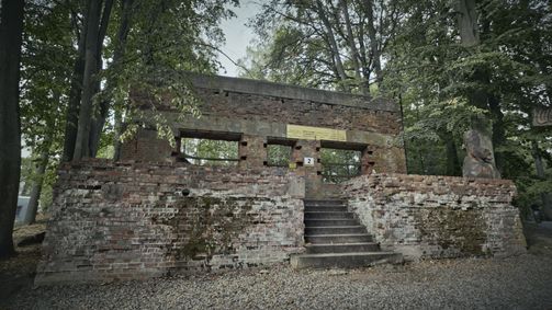 Nazi-Bauten - Geheimprojekte aus Beton Nazi-Bauten - Geheimprojekte aus Beton Folge 6: Die Wolfsschanze