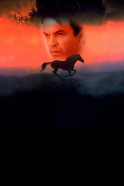 Der Pferdeflüsterer