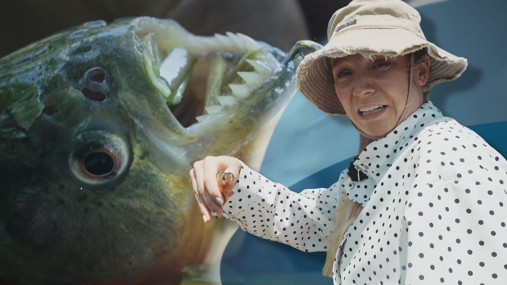 Survival-Food extrem: Killer-Fisch und tödliche Vogelnester