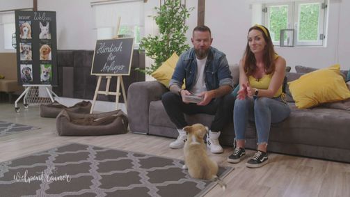 Der Welpentrainer - Auf die Pfoten, fertig, los! Der Welpentrainer - Auf die Pfoten, fertig, los! Folge 1: André Vogt freut sich auf seine neuen Welpenschüler