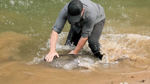 Chasing Monsters - Monsterfischen auf der Spur Chasing Monsters - Monsterfischen auf der Spur Folge 2: Gefahr aus dem Dschungel