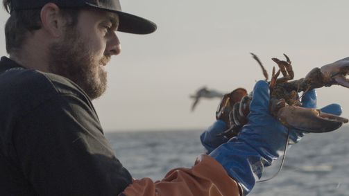 The Last Captains - Leben für den Fischfang The Last Captains - Leben für den Fischfang Folge 8: Die letzte Chance auf mehr Gewinn