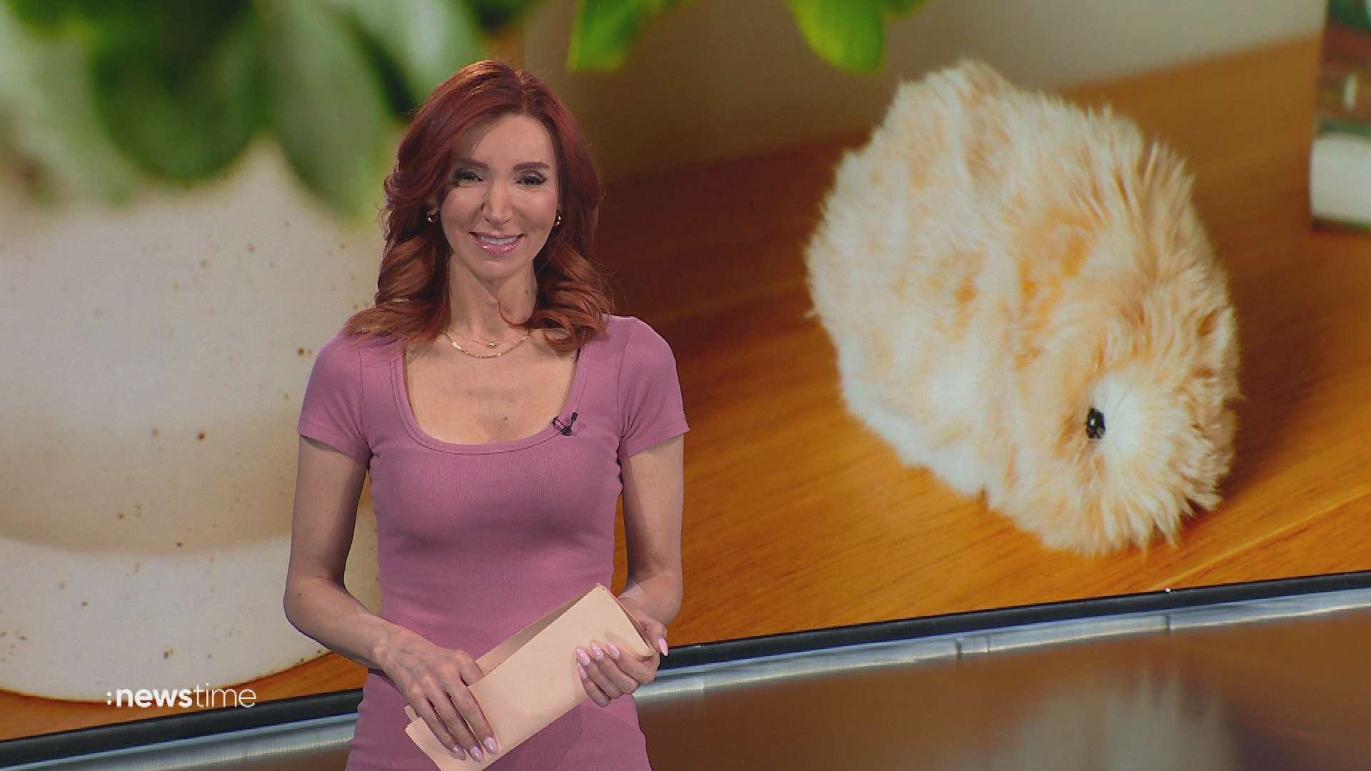 :newstime vom 12. Oktober 2026 | 18:00