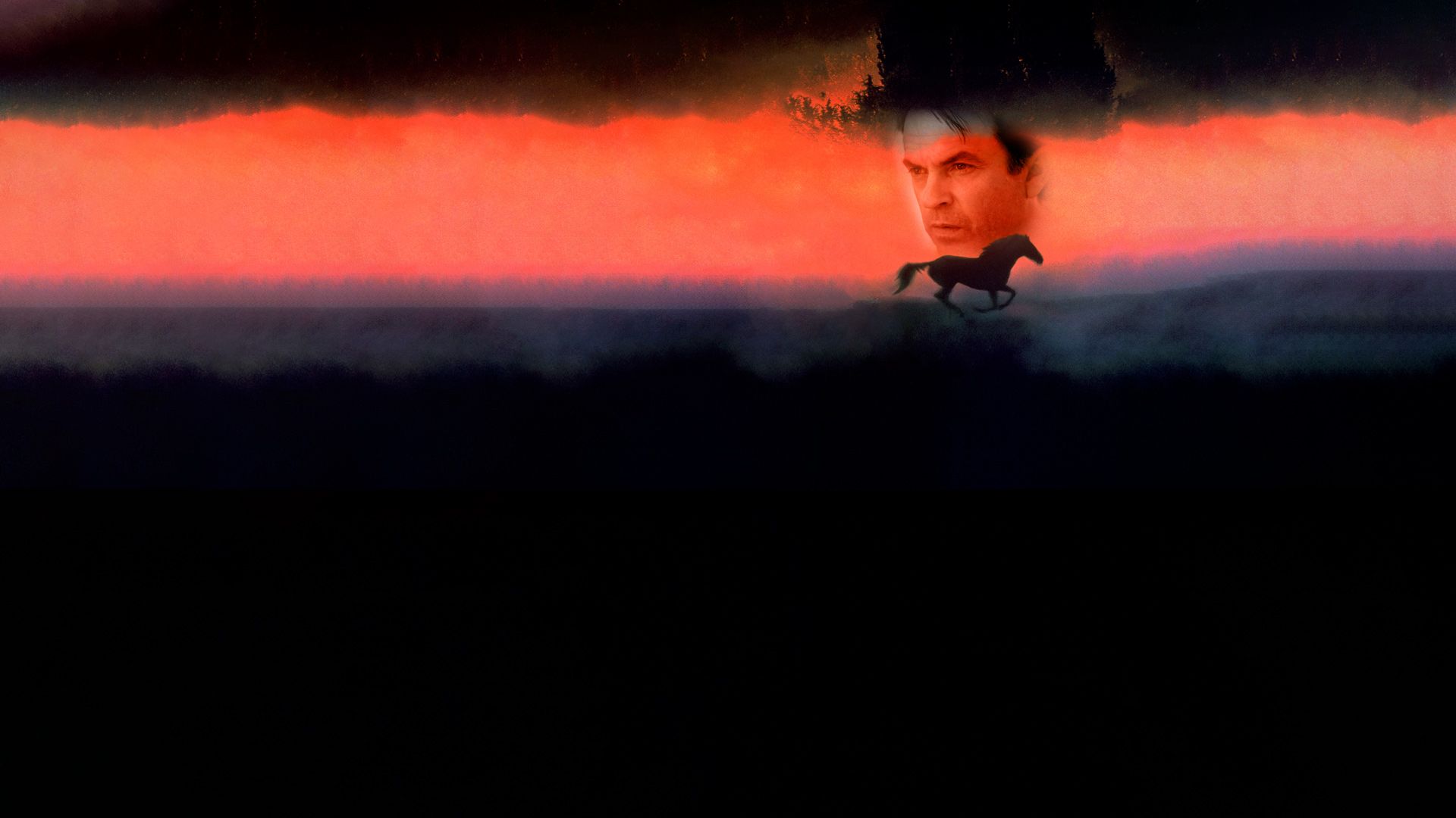 Der Pferdeflüsterer