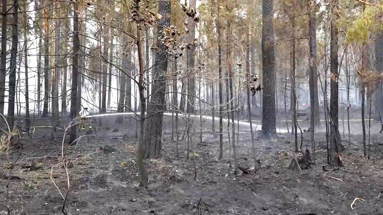 Waldbrand in der Oberpfalz: Vier Einsatzkräfte ambulant behandelt
