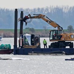 Weiter Bangen um gestrandeten Wal