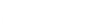Der Rächer