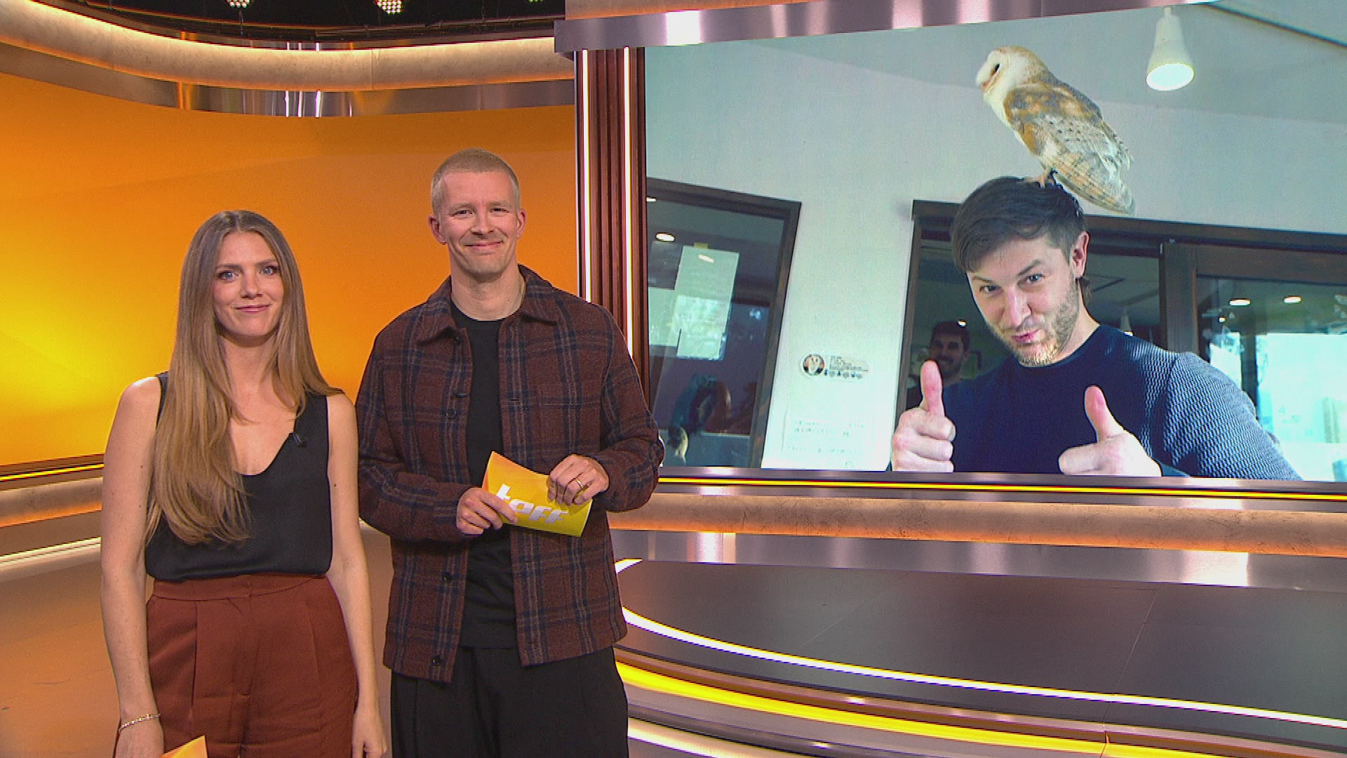 Kaffee neben Eulen? Willkommen in Japans skurrilster Café-Welt