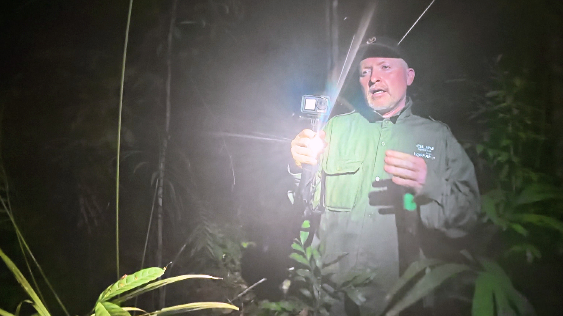 Nachtwanderung im Regenwald