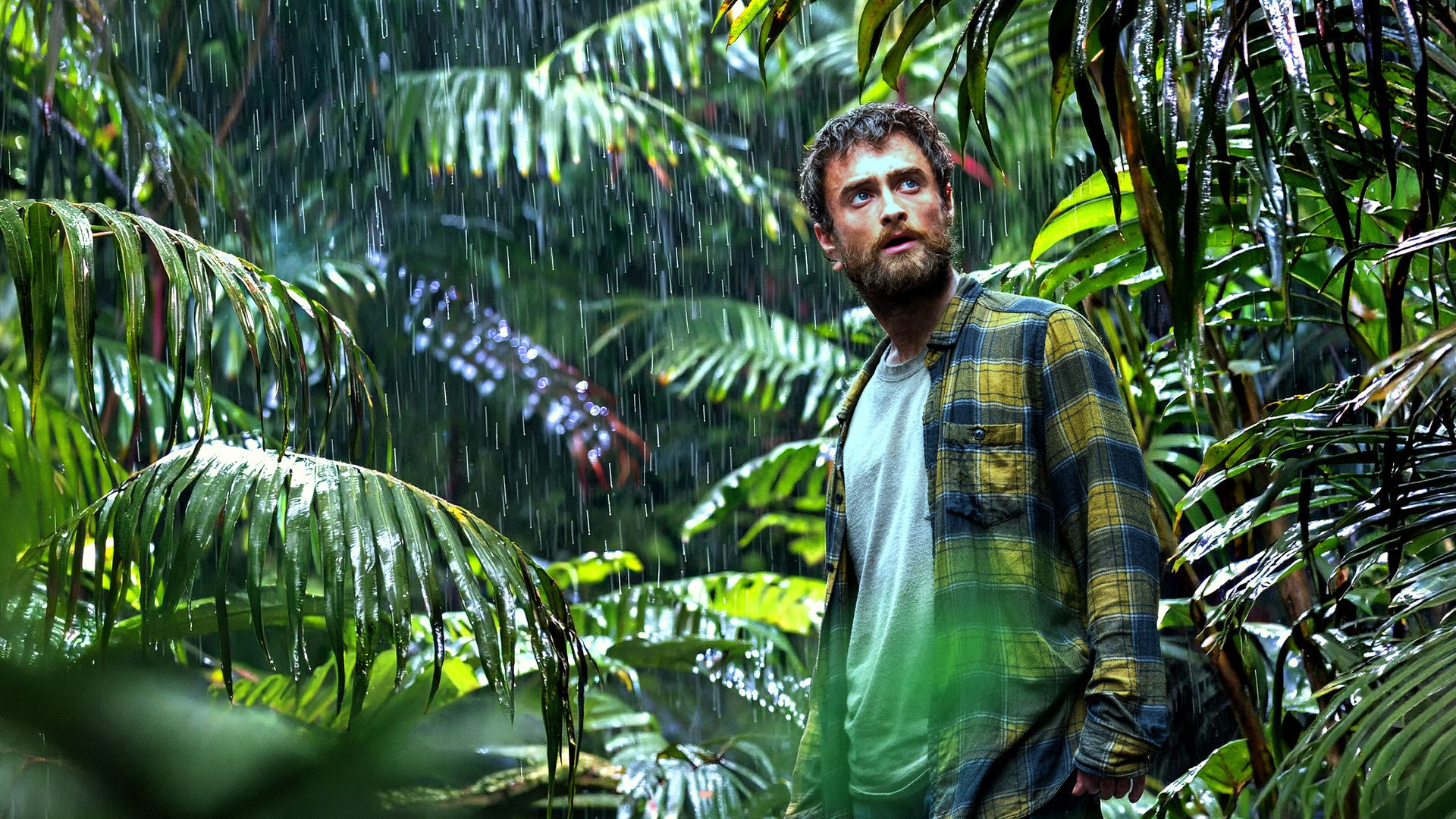 Jungle