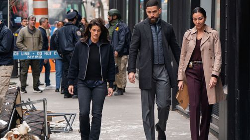 FBI: Special Crime Unit FBI: Special Crime Unit Folge 20: Künstliche Intelligenz