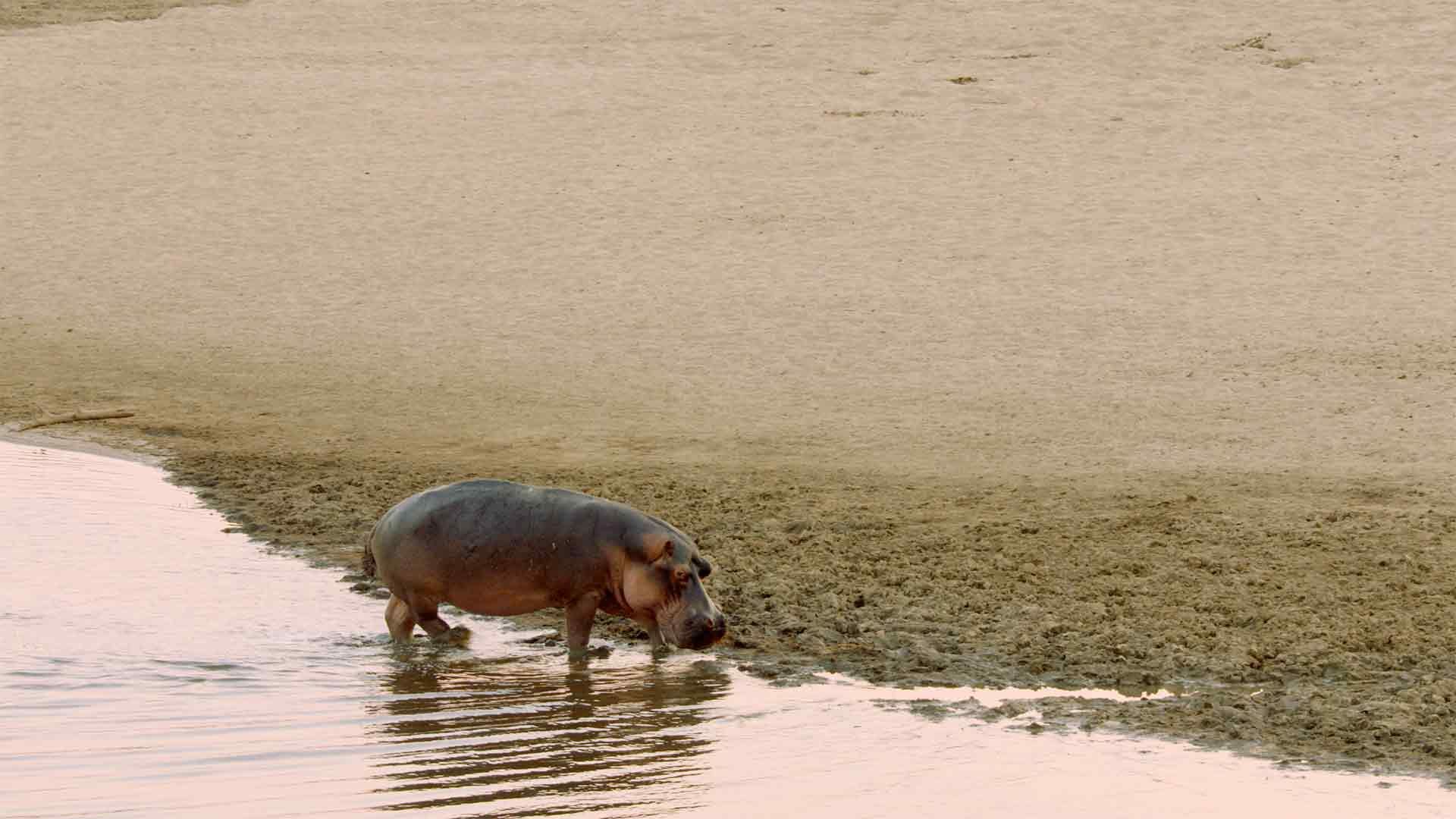 Afrikas Paradiese