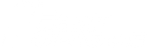 The Fast and the Furious