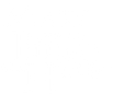 Mary und die Blume der Hexen