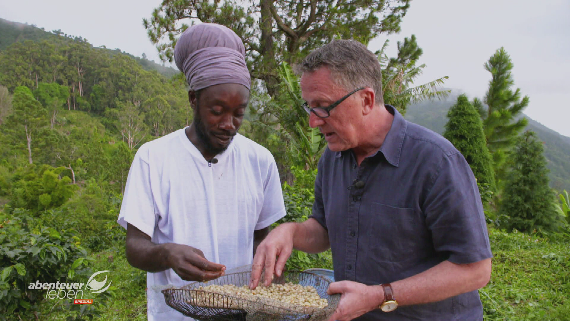 Der beste Kaffee der Welt? – Hoffmann in Jamaika