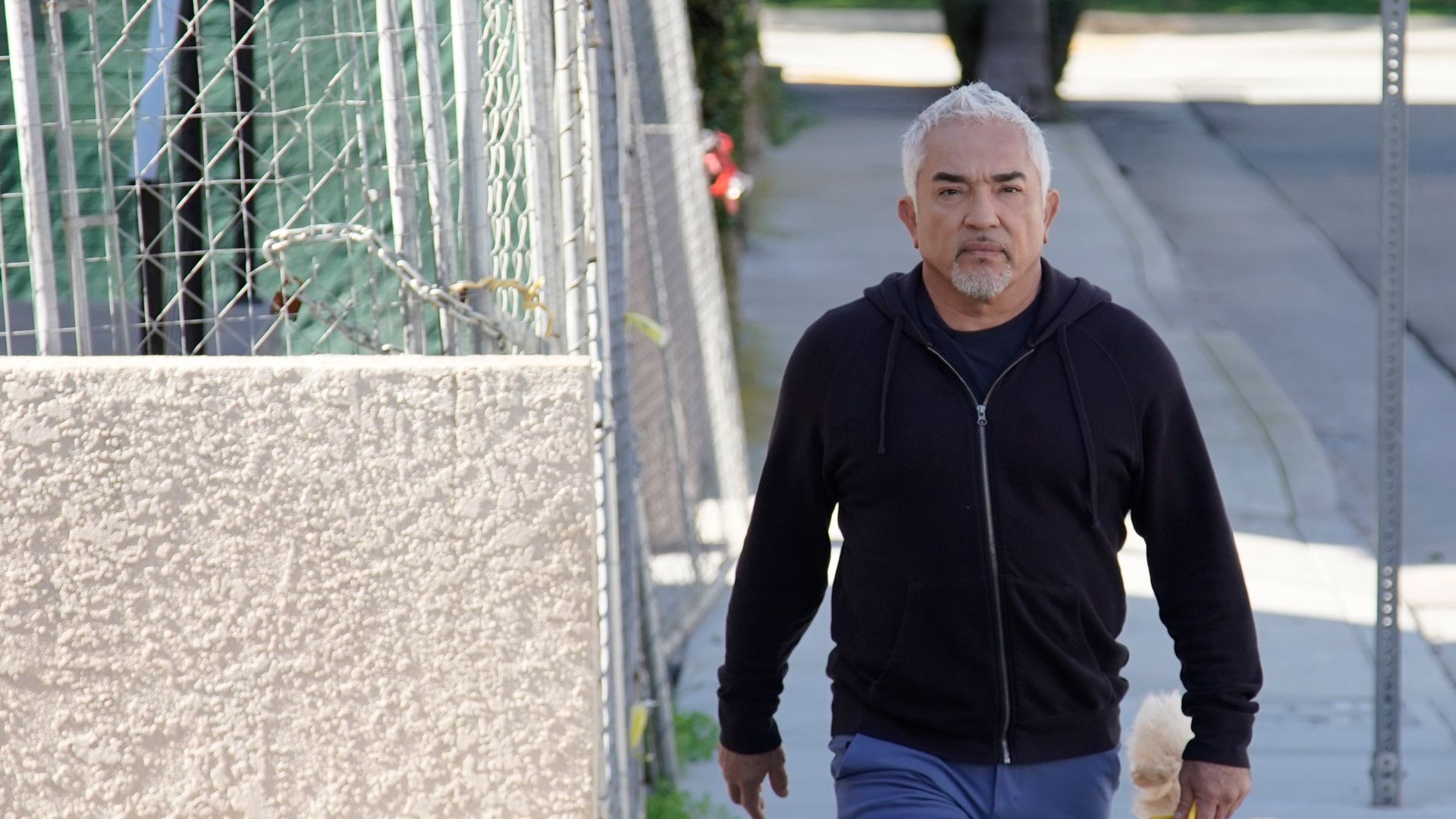 Cesar Millan: Better Human Better Dog - Bessere Menschen, bessere Hunde