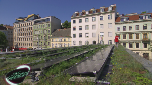 Das Stadtmagazin DAS STADTMAGAZIN - 11. STAFFEL (2024) Folge 14: Das Stadtmagazin vom 16.11.2024