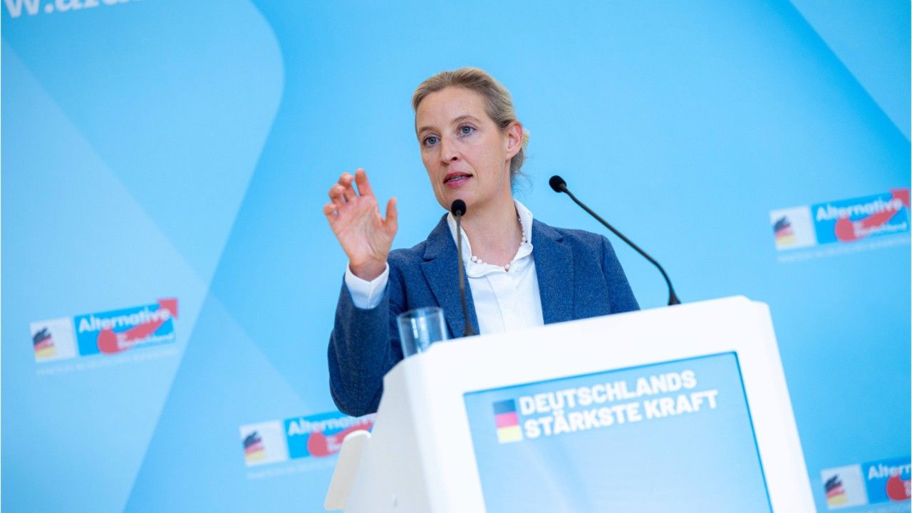 Ehemalige Unionspolitiker fordern AfD-Kehrtwende